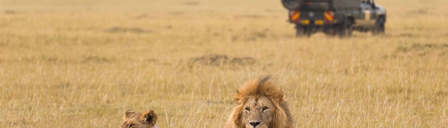 ann_top_Maasai_Mara_National_Reserve_q9nWod