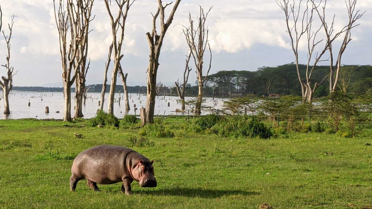 hippo-lake-1200x675